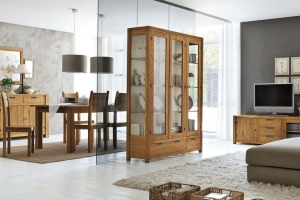 sala-elephanti-970x550_topImg
